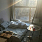 温馨舒适的卧室、打入床边第一缕阳光，幸福有时就是这样简单。 ​​​​