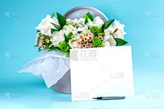 郁金香,盒子,白色,文字,洋葱花,蓝色背景,植物群,商务,周年纪念,贺卡