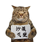 花瓣封面