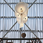 Flos 意大利进口Nebula吊灯现代简约卧室书房客餐厅装饰灯家用-淘宝网