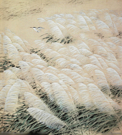 小正*采集到插画