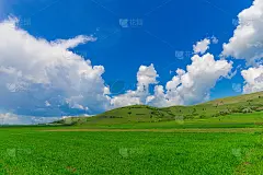 春天的风景