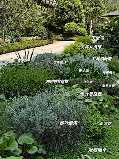 相遇且喜采集到长效花境