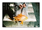 Tseng Green on Behance