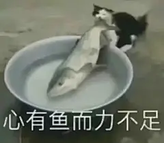 114张搞笑沙雕的gif表情包 : 搞笑沙雕的gif表情包 共给大家整理出来共114张 整理不易，感谢大家的支持 叮，在中间强行进入自我介绍 我的宝藏星球「 @真真同学」公众号 分享 文案｜壁纸｜热爱｜期待你的光临啊，我的宝藏星球，希望你们都有小钱…