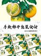 原创手绘碱地柿子包装设计插画厚涂