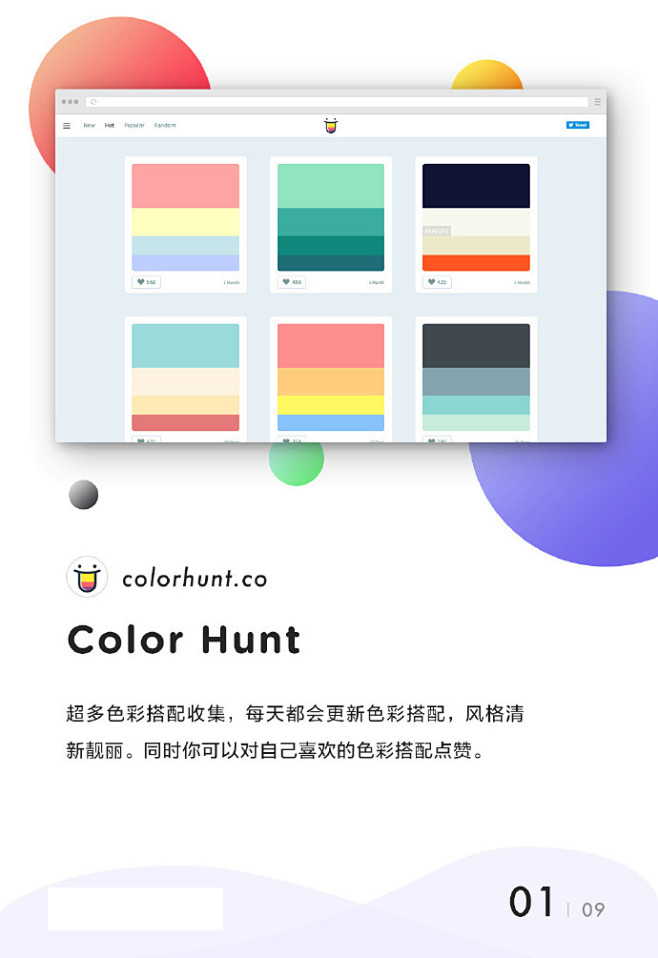 COLOR HUNT