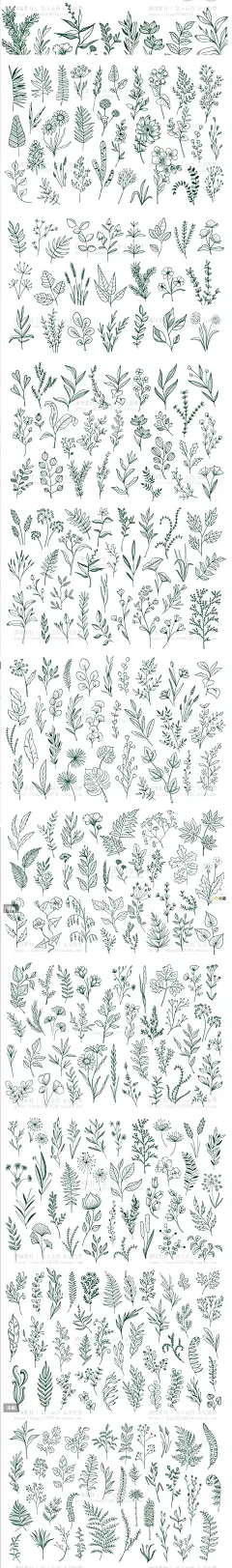 手绘植物线稿线描花边png花朵叶子PS花纹svg花卉LOGO素材ai矢量图-淘宝网