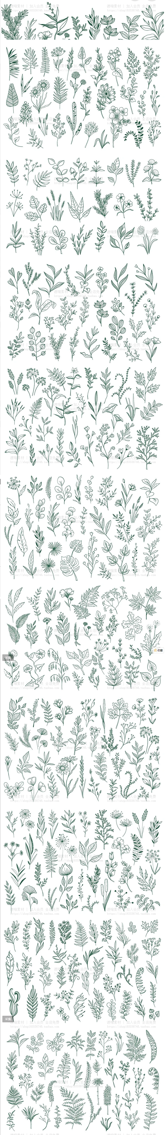 手绘植物线稿线描花边png花朵叶子ps花纹svg花卉logo素材ai矢量图