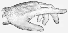 手绘一只手免抠素材_新图网 https://ixintu.com 手 手绘 拇指 素描 绘图 食指 黑与白