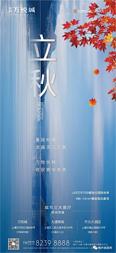 果粒仁儿采集到CS