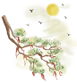 古风中国风古典水墨松树松枝迎客松透明免抠PNG图案 PS设计素材 (161)