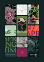 This may contain: an image of various logos and images on a black background with the words springtime written below them