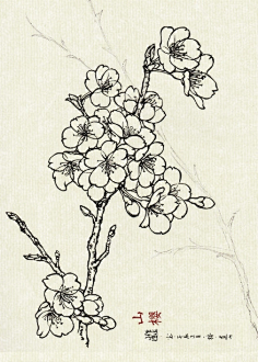 白描花卉百花集