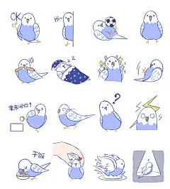 鹦鹉表情包｜快进来rua鸟！ - 小红书  鸟