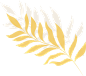 女性唯美瑜伽花卉植物蝴蝶月亮简笔画LOGO图标印花合成免抠PS素材 (1)
