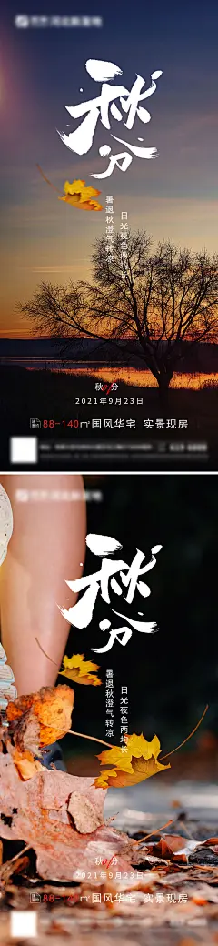 【素材能量站】海报 房地产 秋分 二十四节气 风景 落叶  系列|293796 