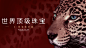 C-世界顶级珠宝品牌奢侈品展览 展示展陈