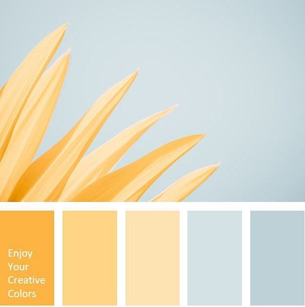 Yellow Color Palette