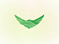 Aquila Logo