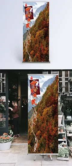 东北野生黄芪