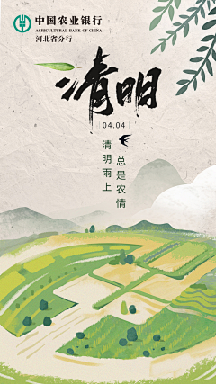 二两江小白采集到个人作品