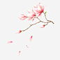 桃花中式精美插画免抠png素材_新图网ixintu.com