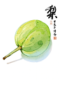 诗乔水彩 - 111