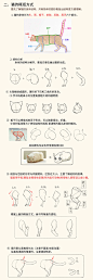 激萌猫咪的绘画教程~喵喵喵 How to draw a cute kitty！, chen zhan : 教你如何画激萌猫咪
从猫的身体结构到动态