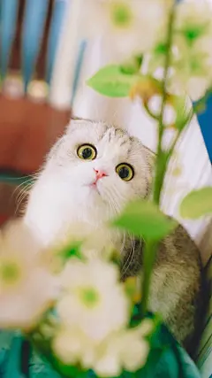 点击查看源网页-花瓣网