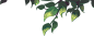 5acafb3d51e9d2ac60693782453af1128fc07280116a7-mOQmLI_fw1200