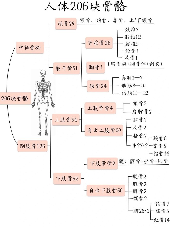 微博 – 随时随地发现新鲜事