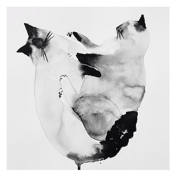 cat sketches - Laura...