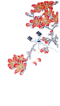 梅花 古风 工笔画 梅花树 梅花鹿 扇子 中国风 #梅花# #中国风# #PNG素材# #设计素材# #点技能# #dianjineng.la# 更多素材尽在【点技能】