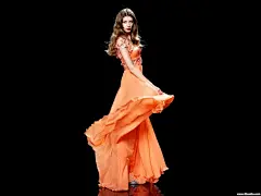 欧美奢华 海报 欧美晚礼服装模特壁纸(壁纸19)