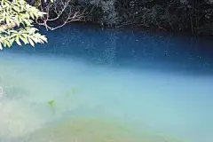 【i旅游】张家界我和老公的蜜月游, 琪琪lvi旅游攻略
