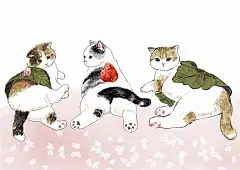 可爱猫咪绘画 日本插画家 mofu_sand|插画家|猫咪|绘画_新浪网