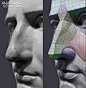 Form of The Head and Neck - by Anatomy For Sculptors by Uldis Zarins — Kickstarter