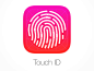 touch-id-icon@2x