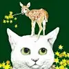 撒哈拉沙漏