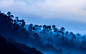 Wallpaper India, Kausani, mountains, fog, trees, Uttarakhand, clouds