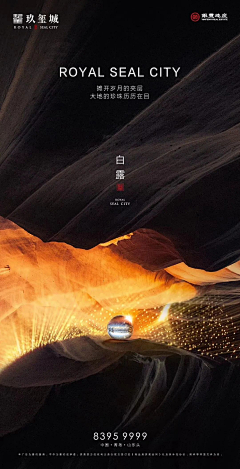 会奔跑的冬瓜采集到海报-24节气