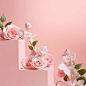 This is a simple display background, a clean pink backdrop decorated with pink roses, the overall color is pink, warm, joyful, simple, photography, 8K , studio lighting ,-- v 5