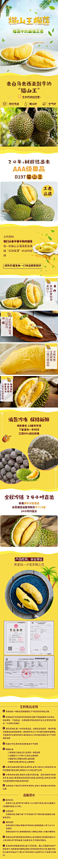 【源文件下载】 电商详情页  淘宝详情页 详情 水果 榴莲促销 