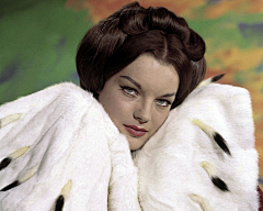 暖阁香箬采集到罗密·施奈德 Romy Schneider