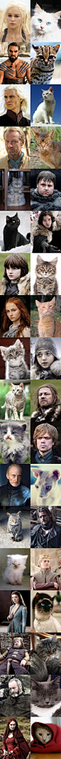 权力的游戏》（Game of Thrones）喵版Cosplay。如果打算拍一部由猫主演的《权力的游戏》，那么这些喵们一定最合适不过！