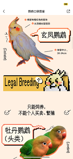 多一份淡然采集到排版