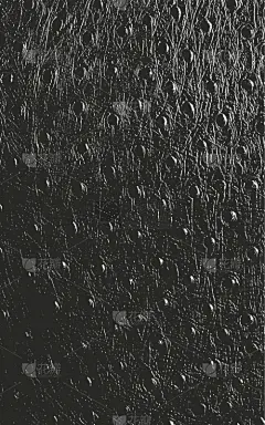 发狂的,多层效果,动物皮,纹理,纺织品,蛇,壁纸,动物,复古,喷溅