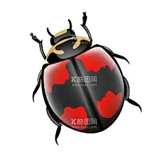 七星瓢虫插画  - 源文件下载【酷图网】卡通动物,卡通瓢虫,手绘瓢虫,七星瓢虫,可爱瓢虫,手绘瓢虫插画,手绘可爱瓢虫,卡通可爱瓢虫,矢量瓢虫,矢量手绘瓢虫,瓢虫插画,Q版瓢虫,动漫卡通,可爱,贺卡,动物插画,插画,儿童绘本,儿童画画,卡通动物漫画,扁平动物,矢量扁平动物,矢量图,卡通漫画,Q版动物,贴纸,卡通昆虫