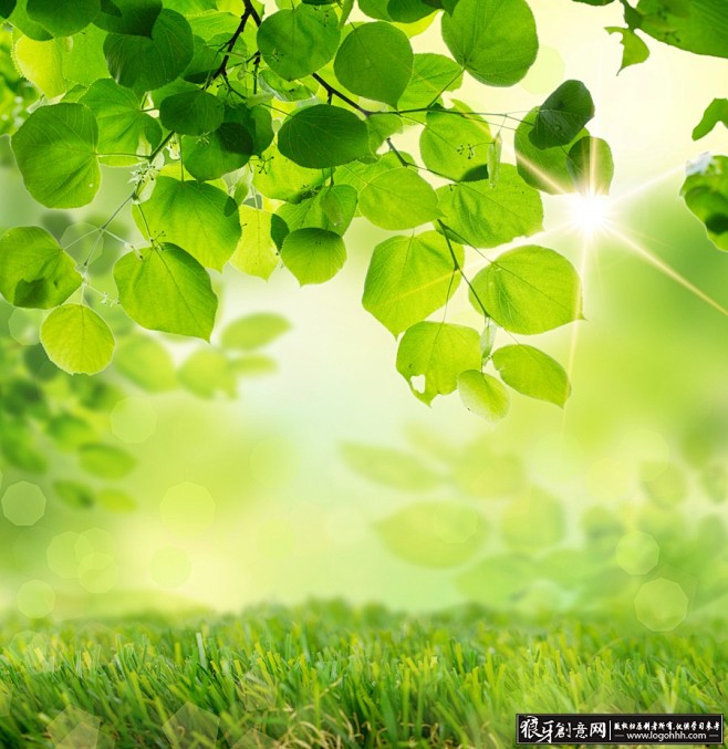 绿色环保健康自然树叶背景绿叶子背景高清背景大气背景矢量背景简洁